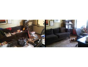 Consultation with a Master Organizer