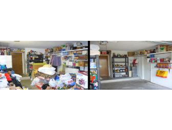 Consultation with a Master Organizer