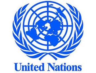 United Nations VIP Tour with an Insider & Lunch for 2