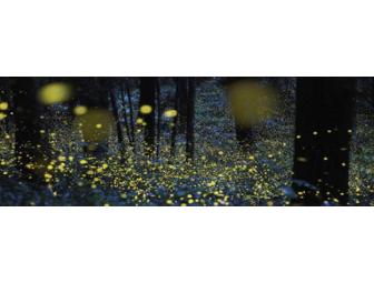 Sketching at the Museum of Natural History with Laura and Marina