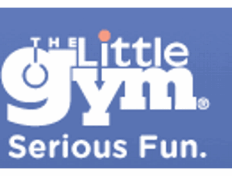 One Month of Children's Gymnastic Classes & Family Membership at The Little Gym