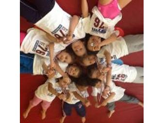 One Month of Children's Gymnastic Classes & Family Membership at The Little Gym