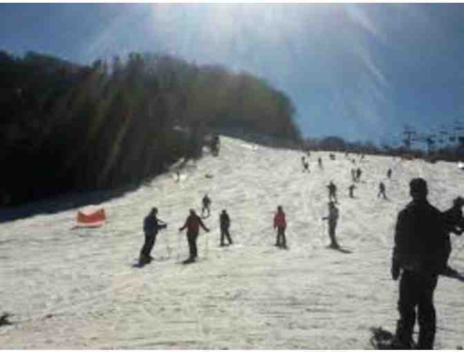 Private Ski Lesson at Hunter Mountain: One Hour