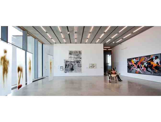 Insider's Tour and Lunch at the Perez Art Museum Miami