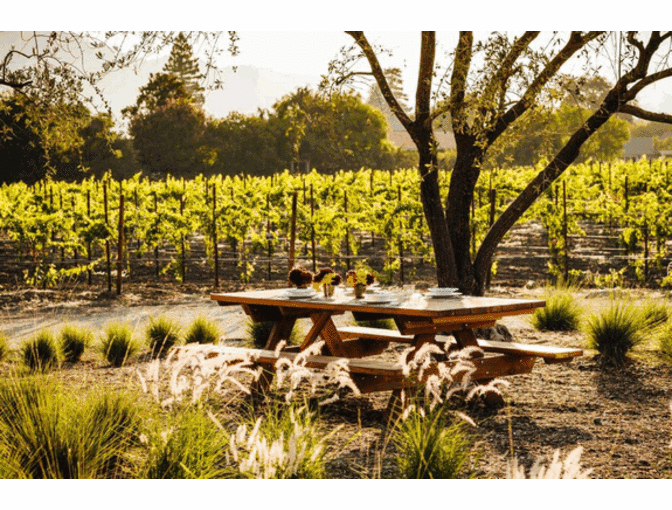 Napa Valley Wine Tasting Experience: Chauffeur Driven Tour With Tastings & Garden Lunch
