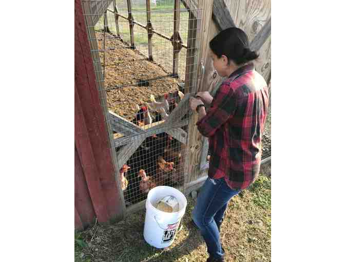 2-night stay at Blind Buck Valley Farmstead