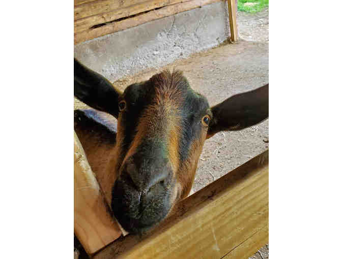 2-night stay at Blind Buck Valley Farmstead