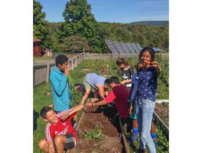 Home Garden Advising from an MCS Farm Member