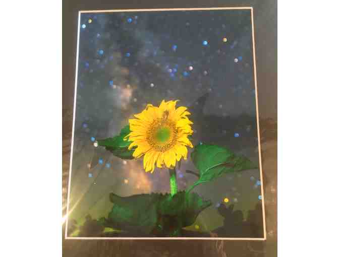 Printed and Matted 'Night Sky at the MCS Farm' photo - Sunflower