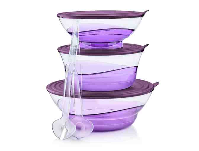 Three Sheerly Elegant Tupperware Bowls (BPA-Free)