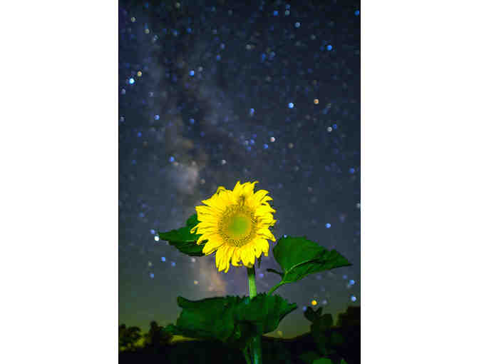 Printed and Matted 'Night Sky at the MCS Farm' photo - Sunflower