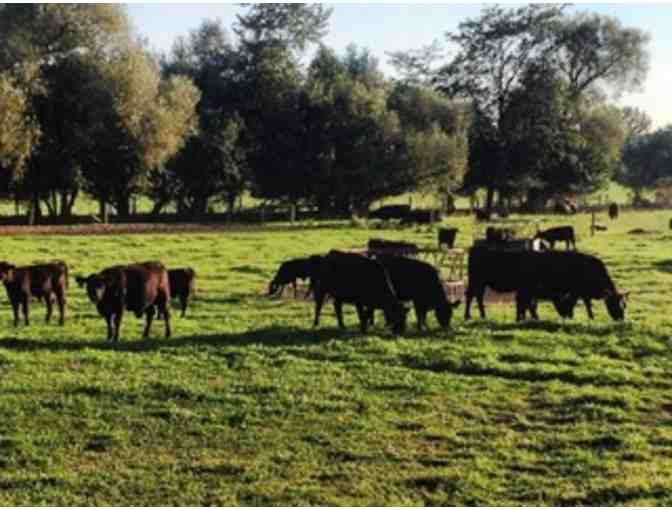 2 Porterhouse Steaks from MCS alum-owned Farm