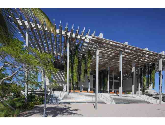 Insider's Tour and Lunch at the Perez Art Museum Miami