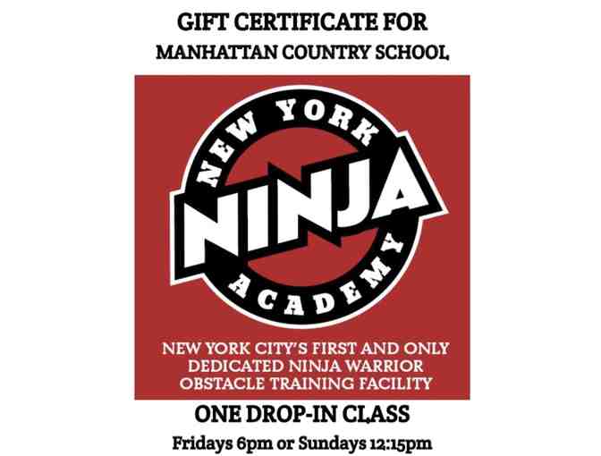 Ninja Warrior Obstacle Training - Photo 1