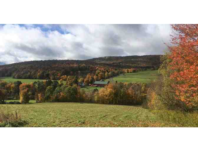 Experience Life at the MCS Farm (Roxbury, NY): 3-Day, 2-Night Stay (Sleeps 20 people)