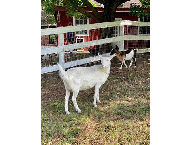 3-night stay at the Sackett and Van Dam Guesthouse