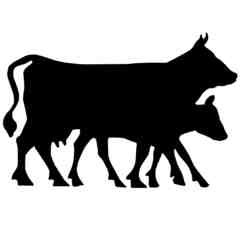 Lewis Waite Farmer Network