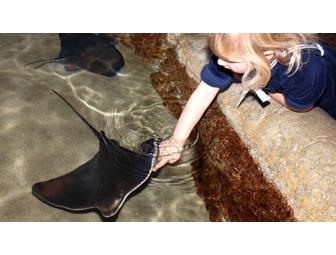 San Francisco, CA - Aquarium of the Bay - 2 Tickets