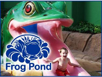 Harrisonburg, VA - Massanutten WaterPark - 4 Passes