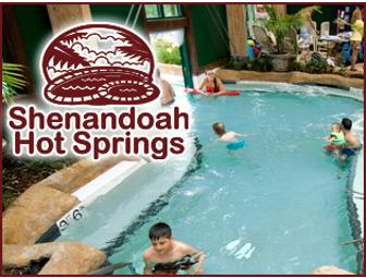 Harrisonburg, VA - Massanutten WaterPark - 4 Passes