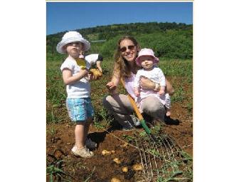 Great Country Farms - 'Fan of the Farm' Season Pass