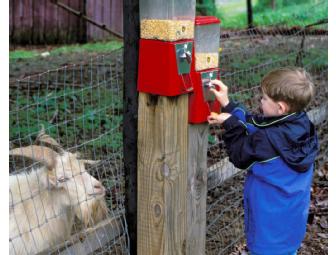 Great Country Farms - 'Fan of the Farm' Season Pass