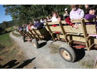 Great Country Farms - 'Fan of the Farm' Season Pass