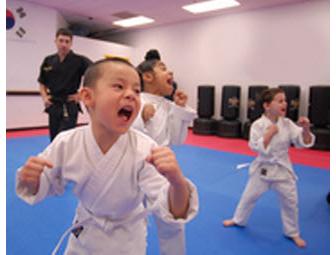 D4 Karate - 1 Month of Karate Classes PLUS a Free Uniform (#1 of 2)