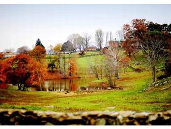 Overnight Stay at Marriott Ranch (Hume, VA)