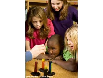 Curiosity Zone - $25 Gift Card