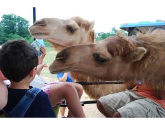 Play Date for Two at Reston Zoo with Ms. Kristen! (#2 of 2)