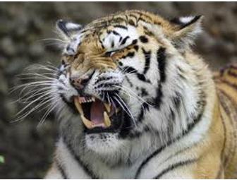 Denver, CO - Denver Zoo - 4 Tickets