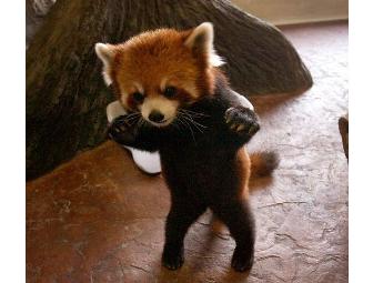 Denver, CO - Denver Zoo - 4 Tickets