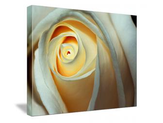Canvas on Demand - $100 Gift Certificate - Turn Your Photo into Art!