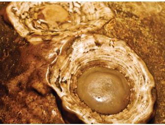 Luray Caverns - 2 Admission Tickets