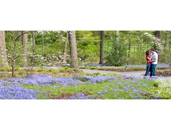 Kennett Square, PA - Longwood Gardens - 2 Tickets