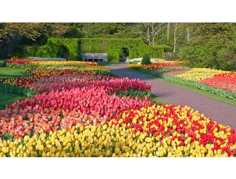 Kennett Square, PA - Longwood Gardens - 2 Tickets