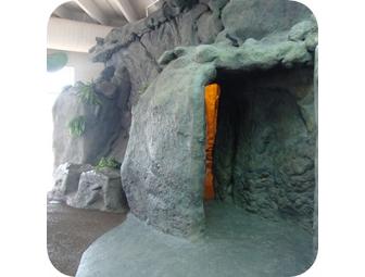 Virginia - Children's Museum of Richmond - Admission for 4