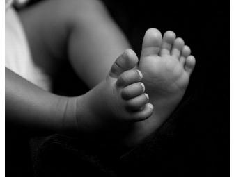 Freed Photography - Family Portrait Session (#1 of 2)