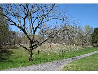 Paradise Springs Winery - 4 Complimentary Wine Tastings (#1 of 2)