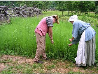 Claude Moore Colonial Farm - One-Year Family Membership