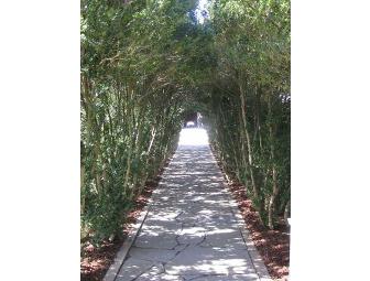 The Winery at La Grange - Wine Tasting for 4 People (#1 of 2)