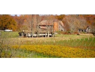 Barrel Oak Winery - Deluxe Tasting & Picnic for 6 People (#2 of 2)