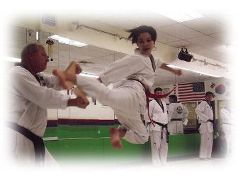 Fox Mill Tae Kwon Do - 9 Classes PLUS a Free Uniform (#3 of 3)