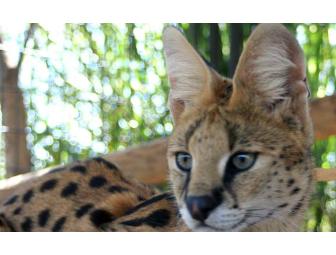 Leesburg Animal Park - 4 Admission Passes