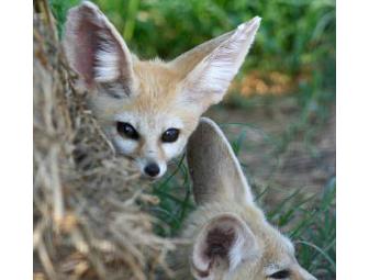Leesburg Animal Park - 4 Admission Passes