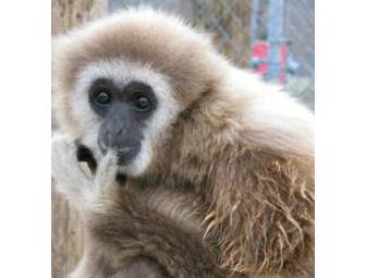 Leesburg Animal Park - 4 Admission Passes