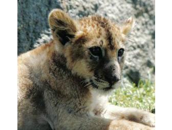 Leesburg Animal Park - 4 Admission Passes