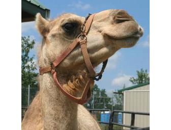 Leesburg Animal Park - 4 Admission Passes