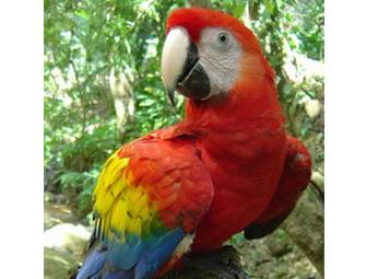 Leesburg Animal Park - 4 Admission Passes